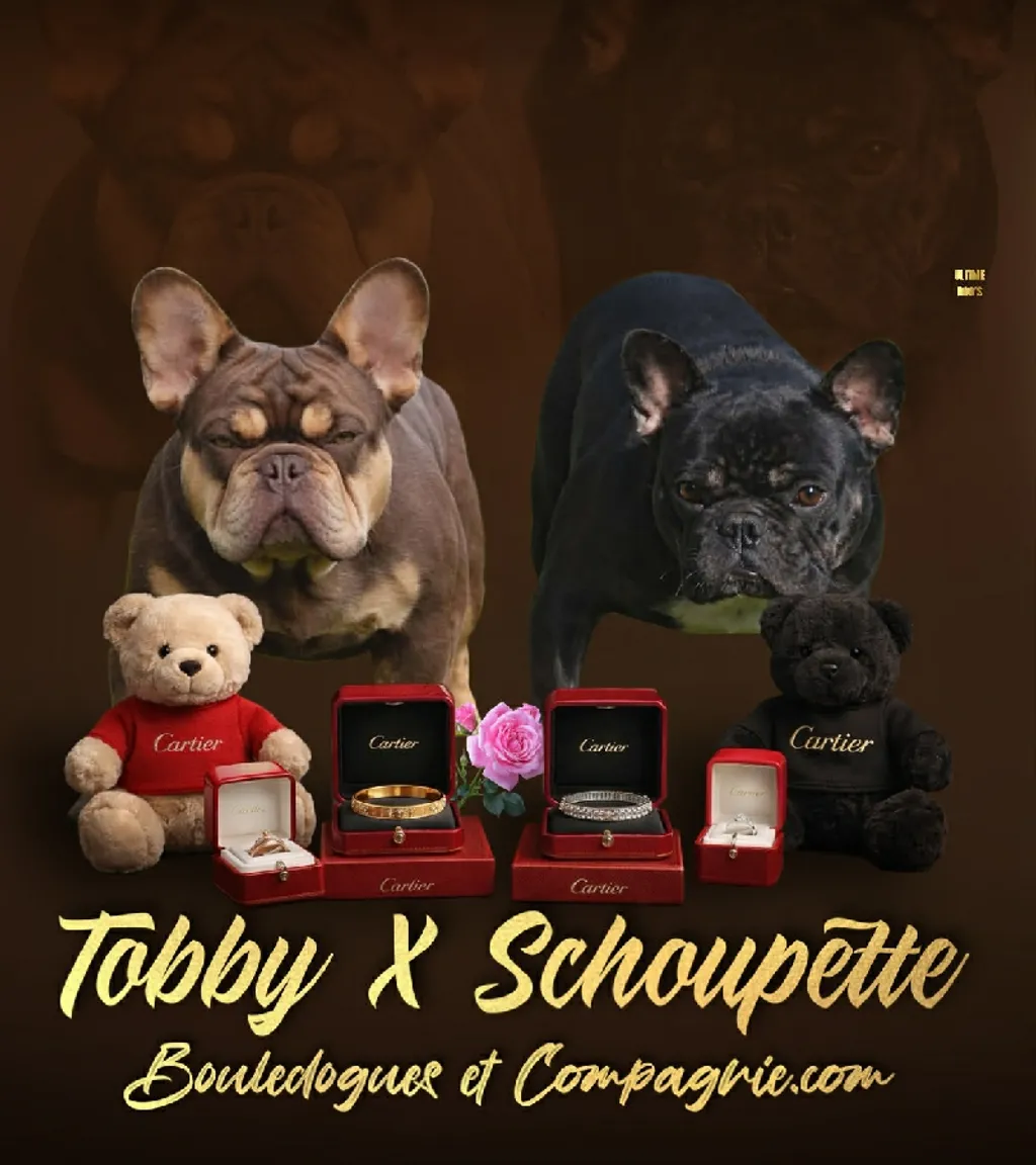 Mariage entre Tobby  et Schoupette 